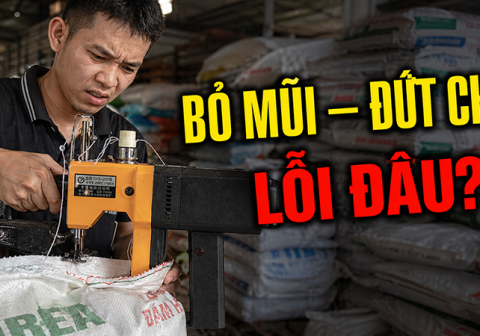 Máy may bao bị bỏ mũi, đứt chỉ liên tục xử lý thế nào?
