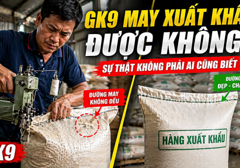 Có nên dùng máy may bao GK9 cho đóng bao xuất khẩu không?